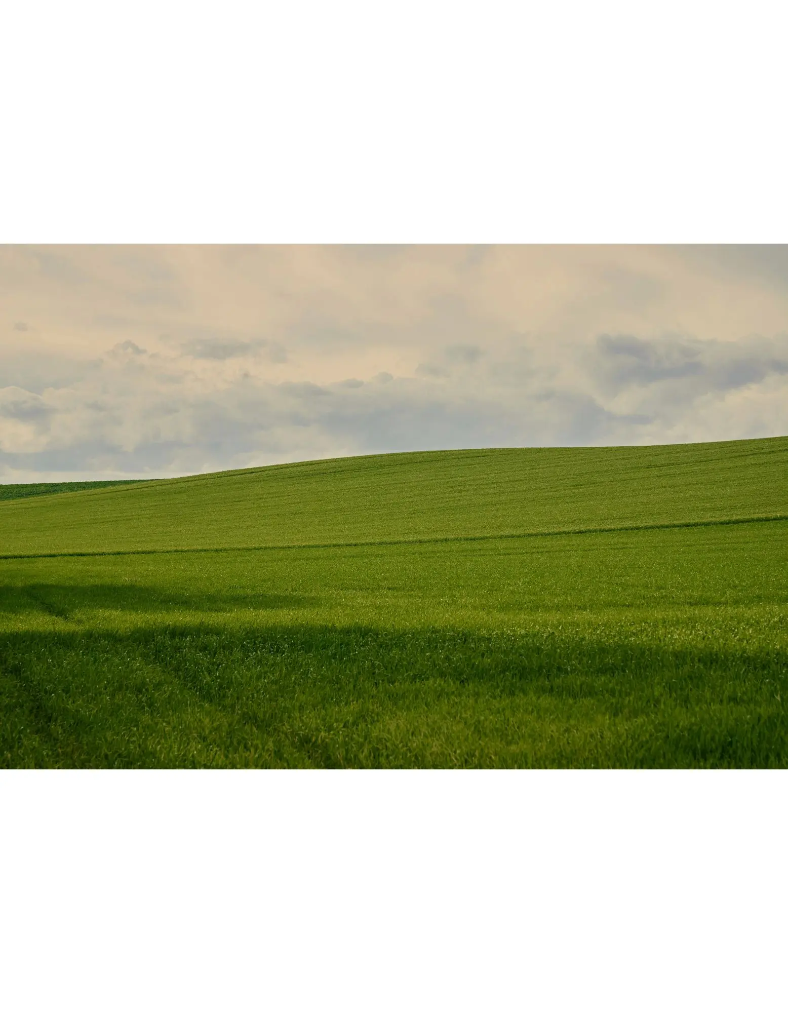 Agricultural land advisory